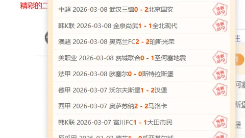 波斯特科格鲁热议热刺欧联之旅，赛程及阵容优势成焦点